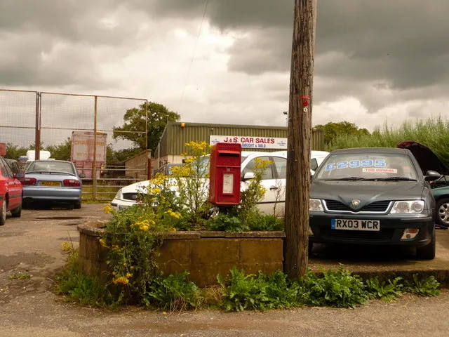 Autopsy of a Ghost Town: Where the Money Goes When Virtual Showrooms Die