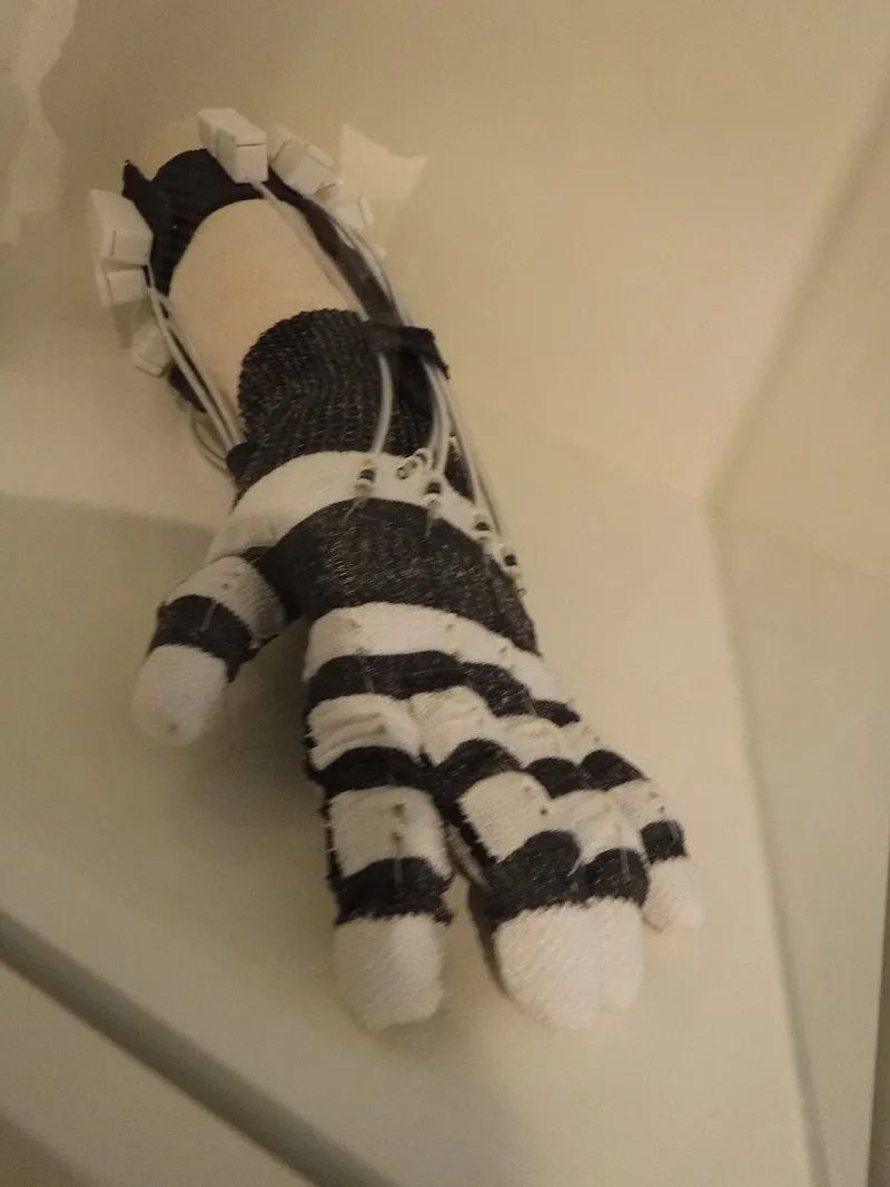 Feeling the Digital: How Haptic Feedback Is Closing the Sensory Gap in Immersive Design